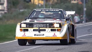 The BEST of Audi quattro S1 Group B Iconic 5cylinder amp Turbo Flutter sounds MUST HEAR [upl. by Kattie]