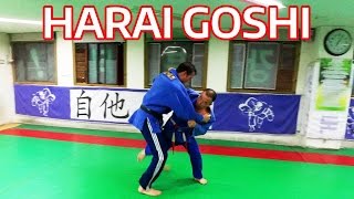 Harai Goshi  Combos by 8th Dan Korean Judo Master 허리후리기 [upl. by Anirdna123]