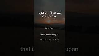 Surah AlBaqara  Surah البقرة  Verse 231  EasyQuranTranslationPK  QuranRecitation viral [upl. by Pravit]