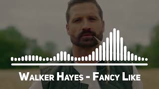 Walker Hayes Fancy Like Top Song [upl. by Athalla795]