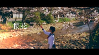 HANCE  櫻花  sakurabana Official Music Video [upl. by Nahtnanhoj]