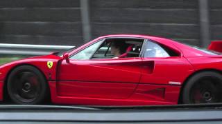 Ferrari F40 Acceleration Tunnel  Rev HD [upl. by Ainiger332]