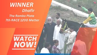 7th Race 1200 Meter Winner Dhafir 10Nov24 horseracing racing lrc horserace sports [upl. by Rainie402]