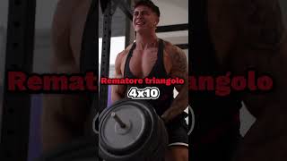 Allenamento NUCLEARE per schiena ☢️👊🏻 bodybuilding bodybuildingmotivation bodybuilder [upl. by Satsoc]