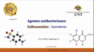 Teoría 07 Quinolonas y Sulfonamidas [upl. by Christabel]