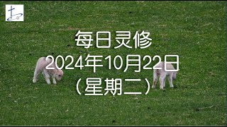 每日灵修2024年10月22日（星期二）腓立比书3章3至6节 English translation in description box [upl. by Paquito]