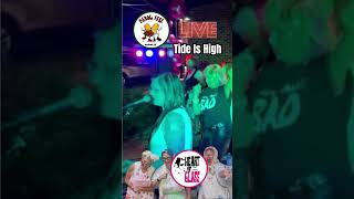 The Tide Is High  Blondie Tribute Band Live at Pierogi Fest  Heart of Glass Short [upl. by Manville843]