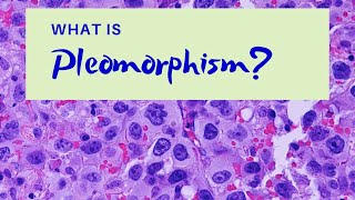 What is Pleomorphism  Pathology mini tutorial [upl. by Lais]