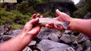 Incroyable les truites à Takamaka TROUT FISHING 974 [upl. by Aizahs]