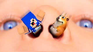 PROCURANDO O HAMSTER SECRETO no MINECRAFT FIND CHOMIKS [upl. by Leela]