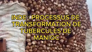 FOM TV  Processus de transformation des tubercules de manioc en Inde [upl. by Kaiulani545]