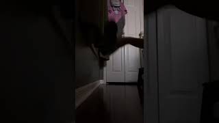 🎃Pamela Pumpkin Halloween Workout🌙🎃 dancevideo dragonpuppets handmade puppeteer funnyvideos [upl. by Skcirdnek]