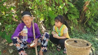 the orphan girl helps an old woman with dementia find her way home  lý tiểu trang [upl. by Elolcin]