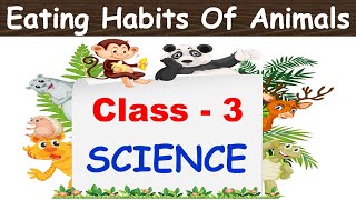 Animals and the Food They Eat  Omnivore  Carnivore  Herbivore  Science Lessons What Animals Eat [upl. by Ahpla939]