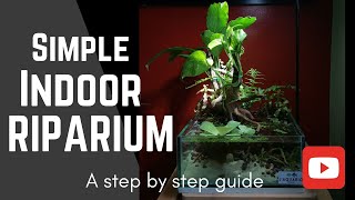 Simple Indoor Riparium Step by step guide [upl. by Ck]