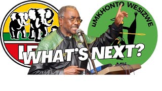 WILLIES MCHUNU RESIGNED FROM ANC WHERE IS HE GOING NEXT [upl. by Lledrac]