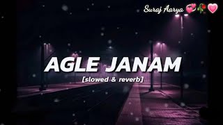 Agle janam milna Hoga  Lofi Mix Song Slowed Reverb Mind Relaxing Song 💞❤️ Love Mashup lofi Music [upl. by Joyan]