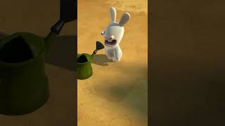 Rabbid meet Watering Can🪴  Rabbids Invasion shorts [upl. by Alakam]