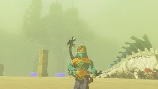 Fighting Molduga King before Boarding Divine Beast Vah Naboris  Zelda Breath of the Wild [upl. by Sillaw]