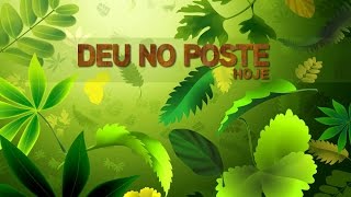 Palpite Jogo do Bicho 2107  Deu No Poste [upl. by Cardinal418]