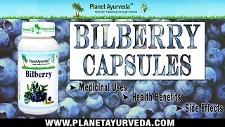 Bilberry Capsules Medicinal Uses Health Benefits and Side effects [upl. by Santini]