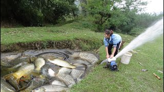 Full Video Fishing Techniques How to Fishing in The Wild Harvesting Many Big Fish  Girl Fishing [upl. by Billmyre]