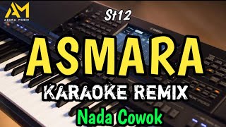 ASMARA KARAOKE REMIX NADA COWOK  ST12 [upl. by Eatnwahs]