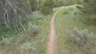 Sinks Canyon Lander Wyoming [upl. by Melinda]