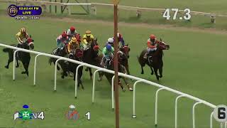 RAAZ wins The Nanjangud Plate [upl. by Ahseinek]