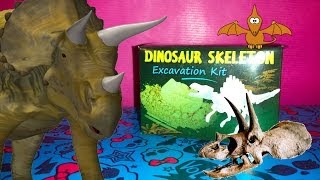 Dinosaur Skeleton  Excavation Kit  dig out your own dinosaur Exploration for kids TheSurpriseEggs [upl. by Clarkson]