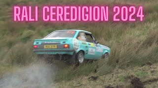 Rali Ceredigion CRASH SPINS amp MISTAKES 2024 [upl. by Eninnaj]