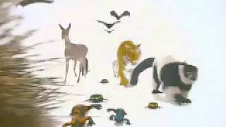 Amazing Animals PC 1999  Intro [upl. by Francie409]