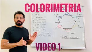 COLORIMETRIA DEL CABELLO  VIDEO 1 [upl. by Anihtyc542]