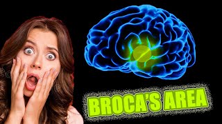 What is BROCAS AREA 😲😵  1 min ⏰ NEUROPSYCHOLOGY [upl. by Aihsekan]