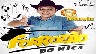 FORROZÃO DO MICA  FORRÓ GOSPEL NA PISADINHA CD 2017 [upl. by Harle]