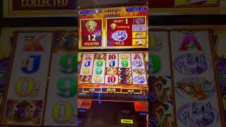 Slot Wins at Gun Lake Casino Michigan 🦬🎰 [upl. by Senaj711]