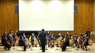 일요클래식Dmitri Shostakovich  Waltz No2 Cello Orchestra [upl. by Ainsley436]