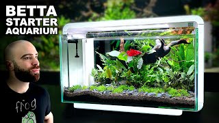 The Budget BETTA Setup You Cannot Miss [upl. by Nawd]