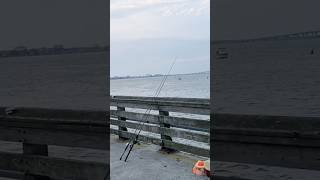 Ocean City Longport Fishing Pier Scenic Views Egg Harbor Bay [upl. by Losse]