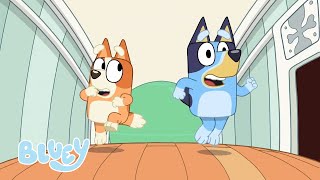 Bluey Saison 1 Épisodes complets  Bluey Français Chaîne Officielle 💙 [upl. by Ayala872]