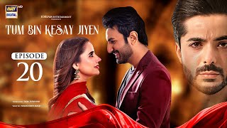 Tum Bin Kesay Jiyen Episode 20  3 March 2024 English Subtitles  ARY Digital [upl. by Nnyleahs292]