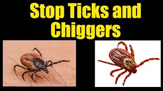 Prevent Ticks and Chiggers on Body and Yard [upl. by Kassie231]