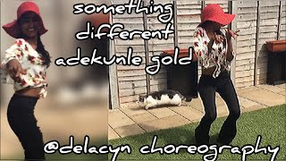 Something different  Adekunle Gold  delacyn choreography x shadesofalisha [upl. by Puduns876]