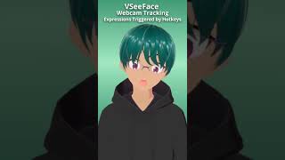 VTuber Face Tracking VSeeFace iFacialMocap Nvidia vtuber vseeface facetracking [upl. by Riebling]