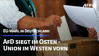 Europawahl in Deutschland AfD siegt im Osten Union im Westen  AFP [upl. by Leavelle]