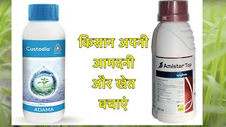 Amistar Top Syngenta vs Custodia Adama  Azoxystrobin  Tebuconazole  Difenconazole  Fungicide [upl. by Yrtsed]