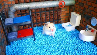 Hamster Maze  Great Escape [upl. by Krein]