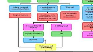 Pulmonary Embolus Algorithm [upl. by Brenda]