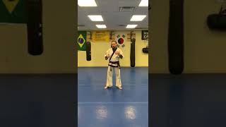 Tang Soo Do  Basic Form 2 [upl. by Waldon]