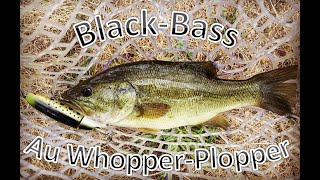 BlackBass au WhopperPlopper [upl. by Assiralc]